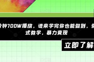 一分钟700W播放,进来学完你也能做到,保姆式教学,暴力变现【揭秘】-麦资源网