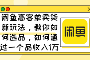 （12387期）闲鱼高客单卖货新玩法，教你如何选品，如何通过一个品收入1万+-麦资源网