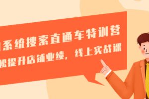 （4656期）淘系统搜索直通车特训营-第三期：轻松提升店铺业绩，线上实战课-麦资源网