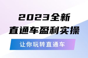 （5714期）2023全新直通车·盈利实操：从底层，策略到搭建，让你玩转直通车-麦资源网