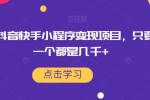 最新抖音快手小程序变现项目，只要爆一个都是几千+-麦资源网