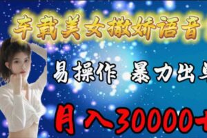 （9710期）车载女生撒娇语音包，易操作，暴力出单，月入30000+-麦资源网