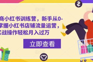 百宝电商小红书训练营，新手从0-1快速掌握小红书店铺流量运营，实战操作轻松月入过万-麦资源网
