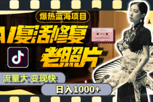 （11596期）暴热蓝海项目，AI复活修复老照片，流量大 变现快 一天收入1000+教程+素材-麦资源网