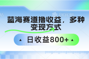 蓝海赛道撸收益，多种变现方式，日收益800+-麦资源网