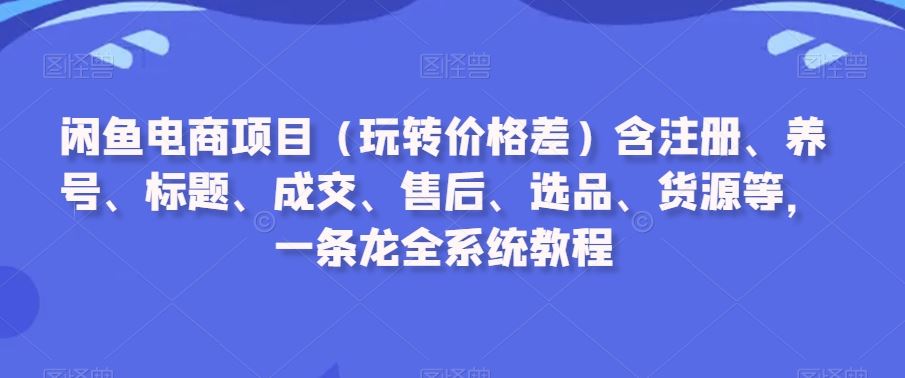 闲鱼电商项目（玩转价格差）含注册、养号、标题、*、售后、选品、货源等，一条龙全系统教程