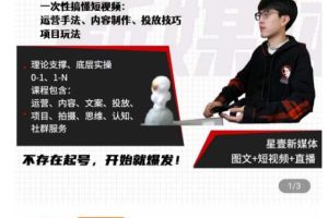壹哥短视频完整知识体系课，不存在起号，开始就爆发（图文+短视频+直播）-麦资源网