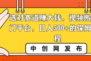 （8793期）选对赛道赚大钱，视频搬运冷门平台，日入500+的保姆级教程-麦资源网