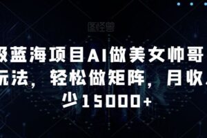 超级蓝海项目AI做美女帅哥的全新玩法，轻松做矩阵，月收入至少15000+【揭秘】-麦资源网