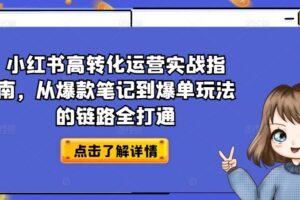 小红书高转化运营实战指南,从爆款笔记到爆单玩法的链路全打通-麦资源网