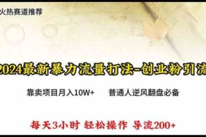 （10151期）2024年最新暴力流量打法，每日导入300+，靠卖项目月入10W+-麦资源网