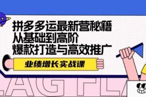 (12260期)拼多多运最新营秘籍:业绩 增长实战课,从基础到高阶,爆款打造与高效推广-麦资源网
