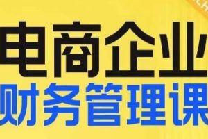 电商企业财务管理线上课，为电商企业规划财税-麦资源网