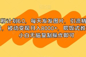 男粉计划6.0，每天发发图片，引流精准男粉，被动变现月入8000+，喂饭式教学，小白无脑复制操作即可-麦资源网
