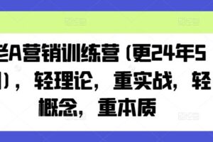 老A营销训练营(更24年5月)，轻理论，重实战，轻概念，重本质-麦资源网
