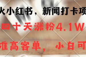 新闻打卡项目，小红书40天涨粉4.1w，高客单精准粉，变现能力超强-麦资源网