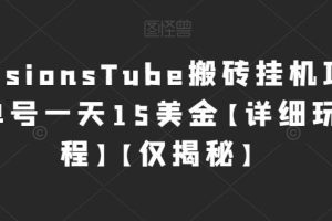 国外VisionsTube搬砖挂机项目，号称单号一天15美金【详细玩法教程】【仅揭秘】-麦资源网