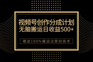 （7589期）最新视频号创作分成计划，无脑搬运一天收益500+，100%搬运过原创技巧-麦资源网