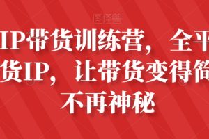 素人IP带货训练营，全平台最强带货IP，让带货变得简单、不再神秘-麦资源网