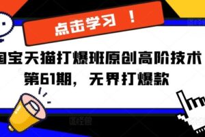淘宝天猫打爆班原创高阶技术第61期，无界打爆款-麦资源网