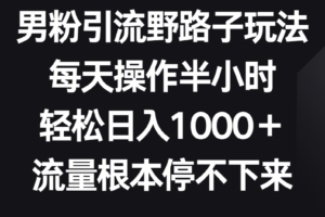 男粉引流野路子玩法，每天操作半小时轻松日入1000＋，流量根本停不下来-麦资源网