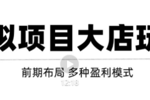 虚拟项目月入几万大店玩法分享，多店操作利润倍增（快速起店盈利）-麦资源网