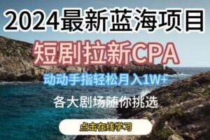 2024最新蓝海项日，短剧拉新CPA，动动手指轻松月入1W，全各大剧场随你挑选【揭秘】-麦资源网