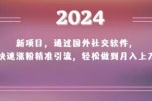 2024新项目,通过国外社交软件,快速涨粉精准引流,轻松做到月入上万【揭秘】-麦资源网