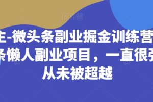 黄岛主-微头条副业掘金训练营6.0，微头条懒人副业项目，一直很强大，从未被超越-麦资源网