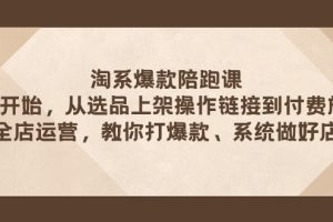 （7725期）淘系爆款陪跑课 从选品上架操作链接到付费放大 全店运营 打爆款 系统做好店-麦资源网