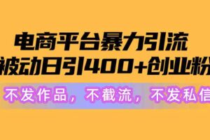 （10168期）电商平台暴力引流,被动日引400+创业粉不发作品，不截流，不发私信-麦资源网