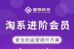 星雪·淘系进阶课程，快速提升突破技能流量瓶颈必备（更新2023年5月）-麦资源网