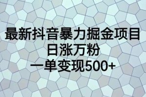 最新抖音暴力掘金项目，日涨万粉，一单变现500+【揭秘】-麦资源网