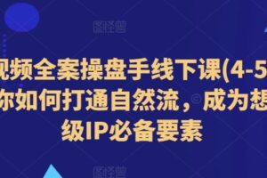 短视频全案操盘手线下课(4-5月)教你如何打通自然流，成为想象级IP必备要素-麦资源网