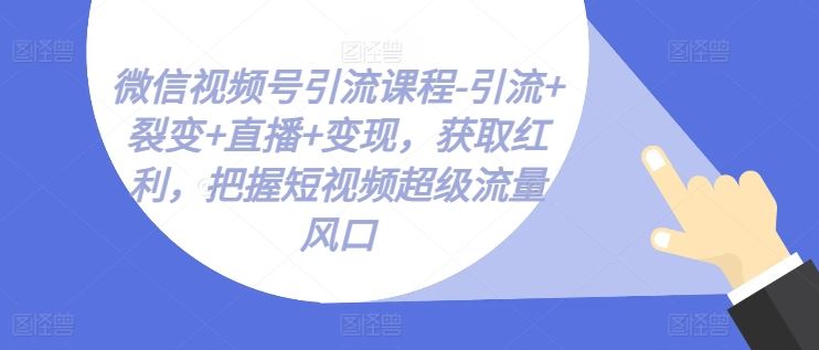 微信视频号引流课程-引流+裂变+直播+变现，获取红利，把握短视频*流量风口