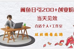 闲鱼精准引流创业粉，日引200+，当天见效，从此横着走-麦资源网