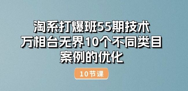 淘系打爆班55期技术：万相台*10个不同类目案例的优化(10节)