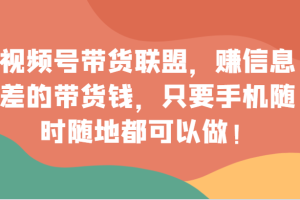 视频号带货联盟，赚信息差的带货钱，只需手机随时随地都可以做！-麦资源网