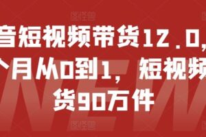 抖音短视频带货12.0，14个月从0到1，短视频带货90万件-麦资源网