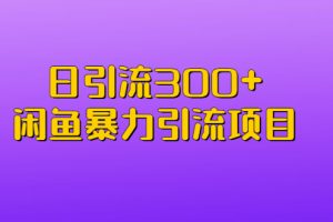 （6694期）日引流300+闲鱼暴力引流项目-麦资源网