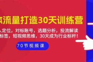 （9782期）实体-流量打造-30天训练营：个人定位，对标账号，选题分析，投流解读-70节-麦资源网