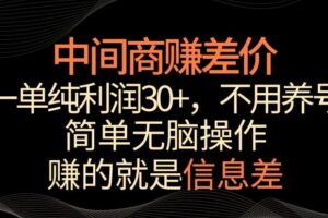 中间商赚差价，一单纯利润30+，简单无脑操作，赚的就是信息差，轻轻松松日入1000+【揭秘】-麦资源网