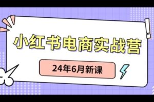 小红书电商实战营：小红书笔记带货和无人直播，24年6月新课-麦资源网