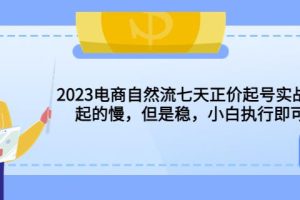 2023电商自然流七天正价起号实战课：起的慢，但是稳，小白执行即可！-麦资源网
