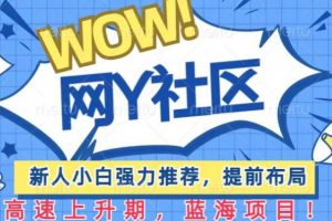 有道词典WOW社区项目,新人小白强力推荐,提前布局,高速上升期,蓝海项目【揭秘】-麦资源网