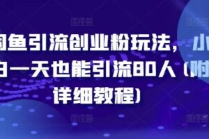 闲鱼引流创业粉玩法，小白一天也能引流80人(附详细教程)-麦资源网