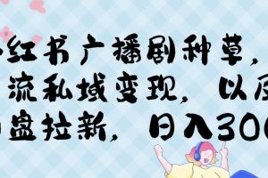 小红书种草广播剧，引流私域做网盘拉新，或售卖合集变现【揭秘】-麦资源网