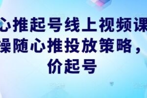 随心推起号线上视频课，实操随心推投放策略，正价起号-麦资源网