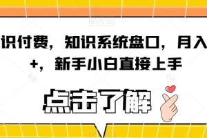 5分钟一个原创作品,小红书最新冷门玩法,简单粗暴,轻松月入1W+【揭秘】-麦资源网