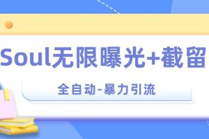 【暴力引流】Soul无限曝光+截留一体的软件【揭秘】-麦资源网